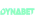 Dynabet